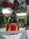 christmas 2005 015